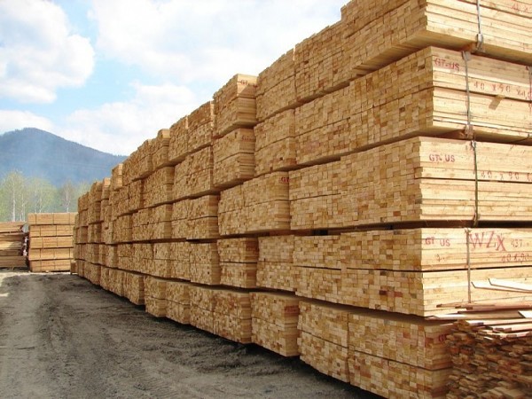 � ������� 2023 �. ������� ���� �� ������������� � ������ ����������� �� 0,3%